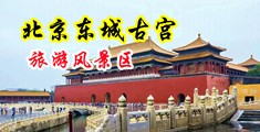 骚货白洁中国北京-东城古宫旅游风景区