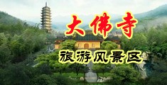 白虎抠逼喷水中国浙江-新昌大佛寺旅游风景区